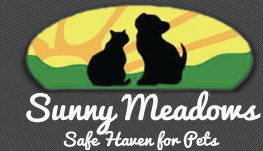 Screen shot 2012-12-02 at 7.37.23 PM